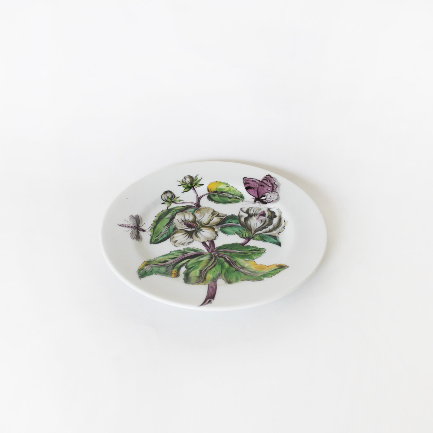 Exotic Plant Plate Set by Mottahedeh Design